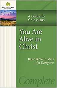 You Are Alive In Christ PB - Stonecroft Ministries